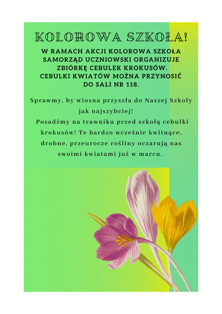 Kolorowa Szkoła!
