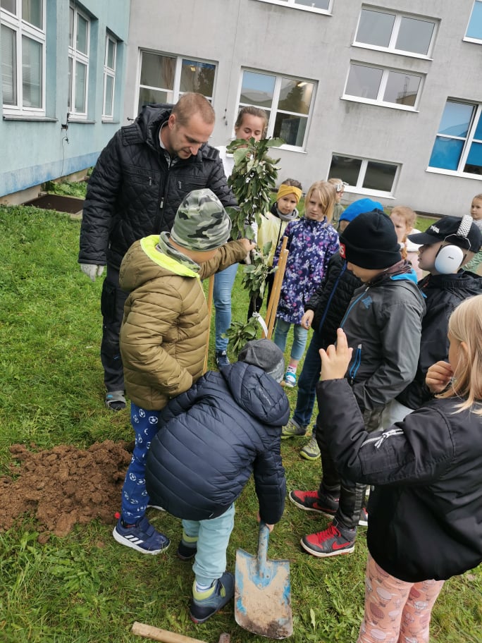 Dzień drzewa