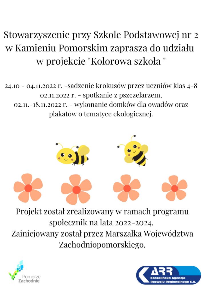 Realizacja projektu "Kolorowa szkoła"