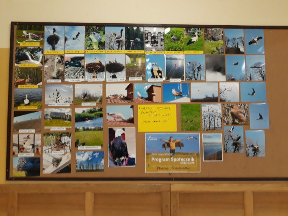 Rozstrzygnięcie konkursu fotograficznego "Ptaki wokół nas"