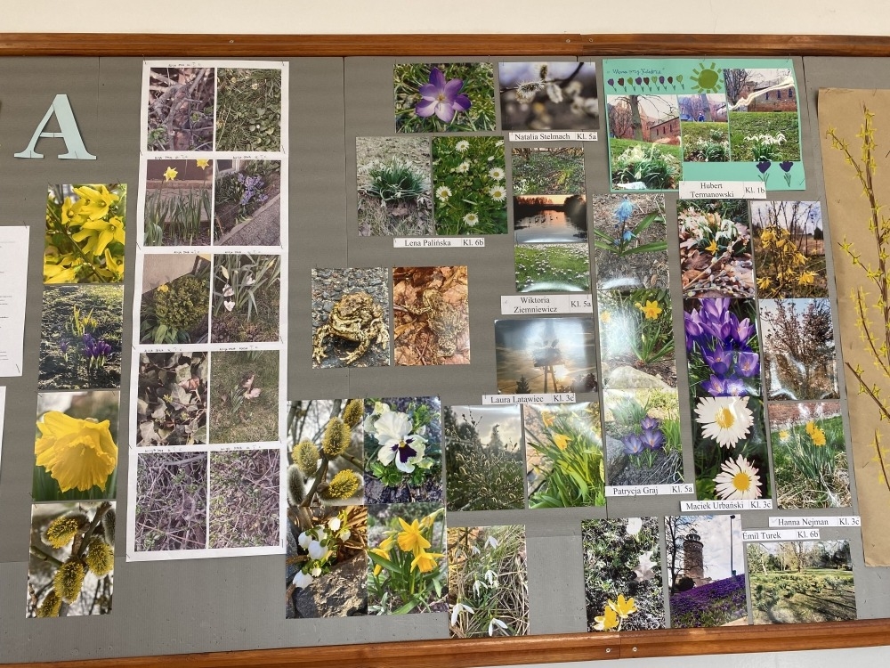 Wyniki Konkursu Fotograficznego "Kolorowe powitanie wiosny"
