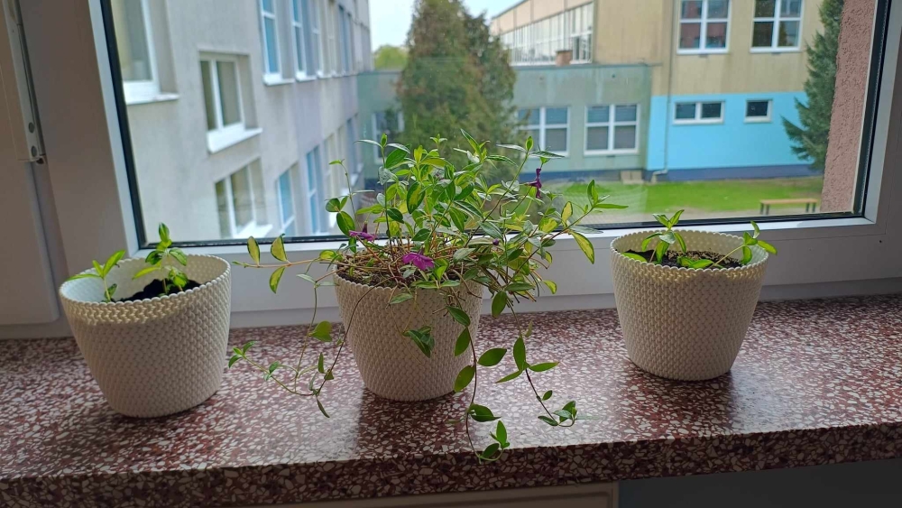 Dzień Ziemi – Bądź EKO!