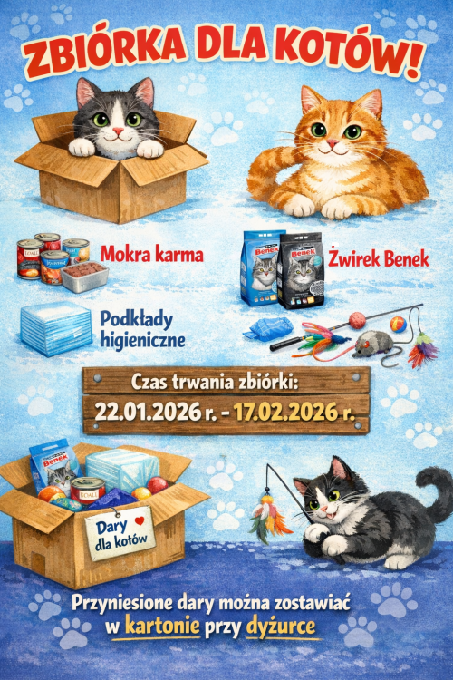 Zbiórka dla kotów