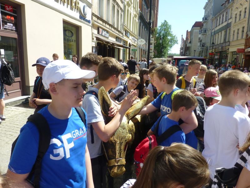 W mieście Kopernika i piernika
