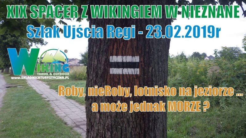 XIX Spacer z Wikingiem w nieznane